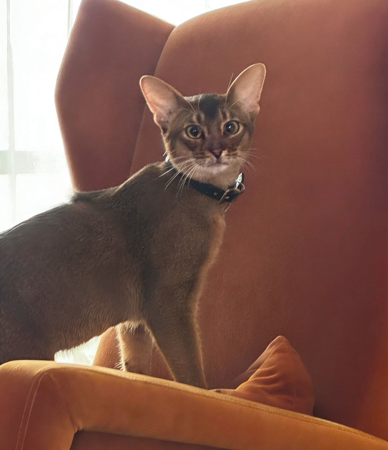 微信图片_20260118195521